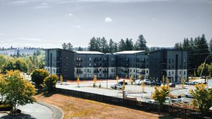 TapaniInc-Oliveen-Drone-shot