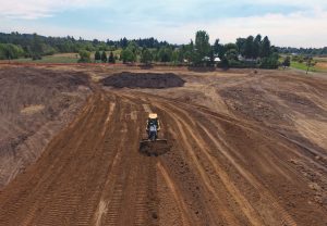 project_hockinson-wetland03