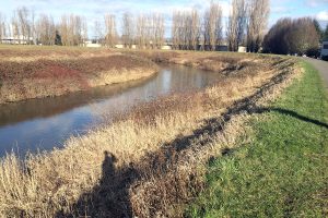 project_briscoe-desimone-reaches2-3_02