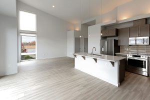 project_z-street-lofts02