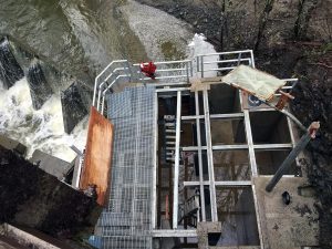 DungenessFishLadder_4