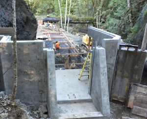 IMG_0780-Cropped---60