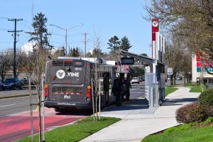 Tapani-Inc_Mill-Plain-BRT-image5