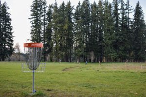 Hockinson-Disc-Golf-Tapani-Inc-image1