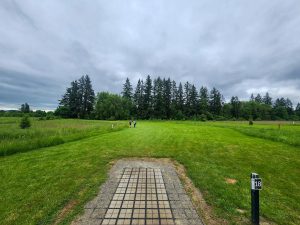 Hockinson-Disc-Golf-Tapani-Inc-image2