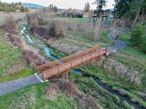 Hockinson-Disc-Golf-Tapani-Inc-image4