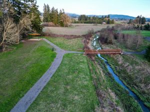 Hockinson-Disc-Golf-Tapani-Inc-image5