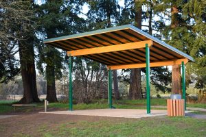 Hockinson-Disc-Golf-Tapani-Inc-image6